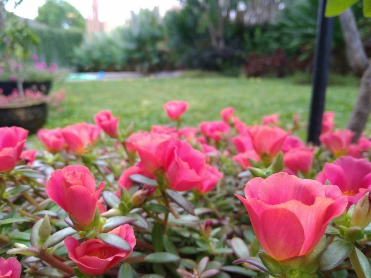 Hotel Cove Tevana